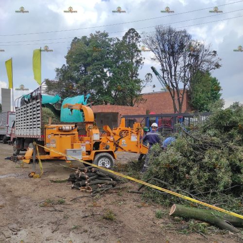 Imagen de WhatsApp 2024-05-27 a las 12.12.21_4ecca78d