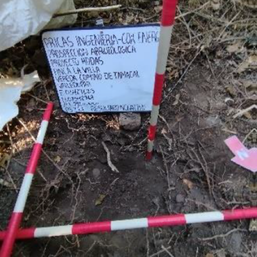 Imagen11